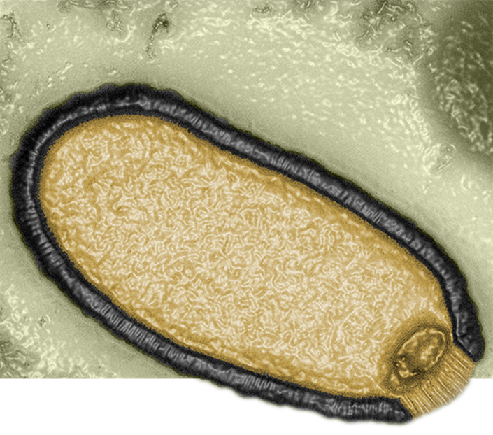 The Anuhazi Elohim are FAR above 14th dimensional awareness.