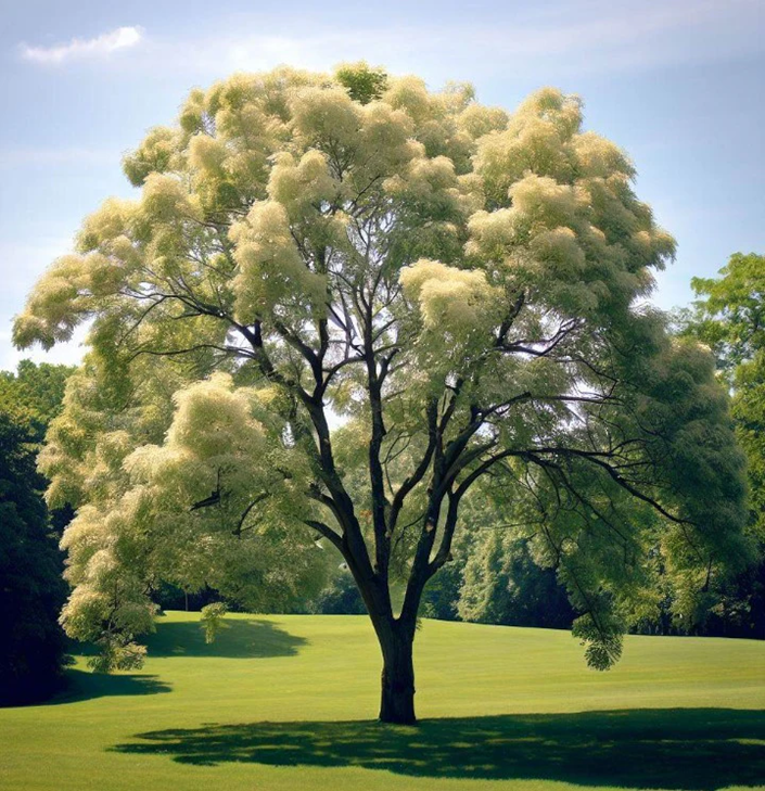 Despite what you may have heard, dreams are your real life experiences.