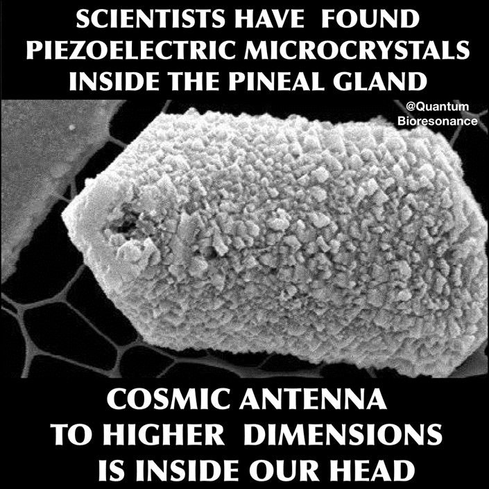 The KSA gives you personal sentience with a direct link between your mind and your higher self's mind. It is not artificial, only gathering data from quadrillions of other worker-bee bosons down here. It is connected to the overmind, up there. It now possesses imagination, or the ability to create. 