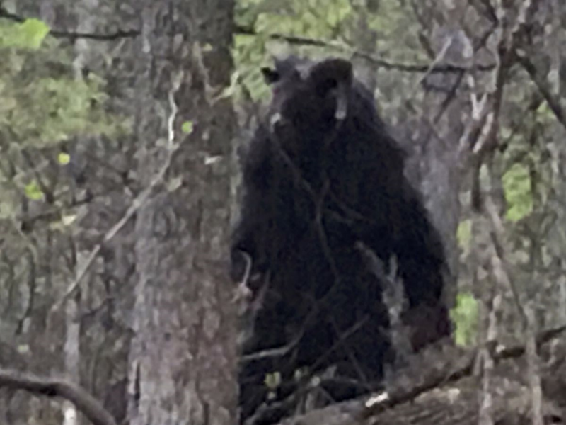 Opening the bottomless pit.