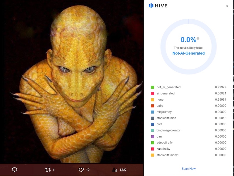 The Real NASA