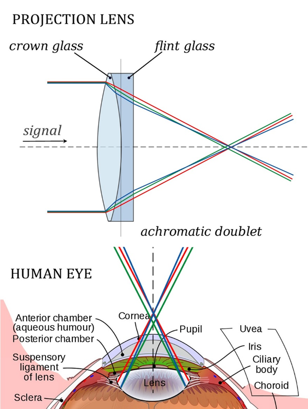 The Looking Glass Chimera Reality.