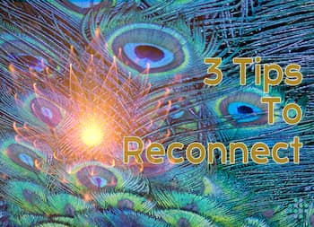 3 Tips To Reconnect